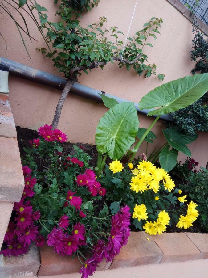Appartamento In Zona Residenziale Orosei Extérieur photo
