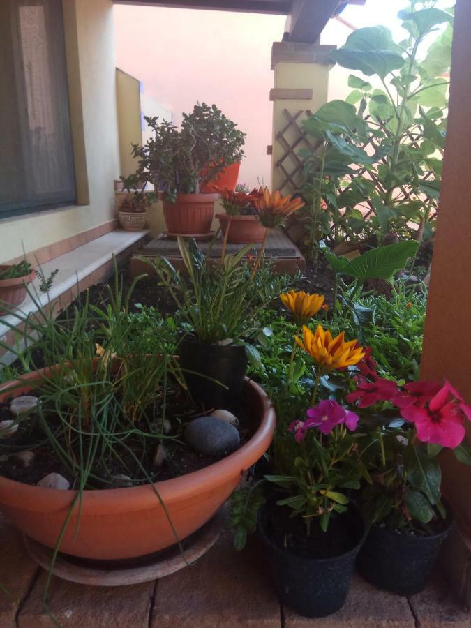 Appartamento In Zona Residenziale Orosei Extérieur photo